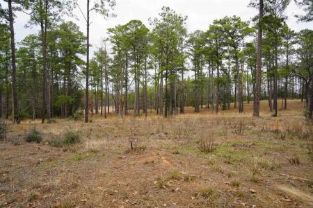 Lot 2 Pr 6028, Brookeland, تكساس 75931, الولايات المتحدة