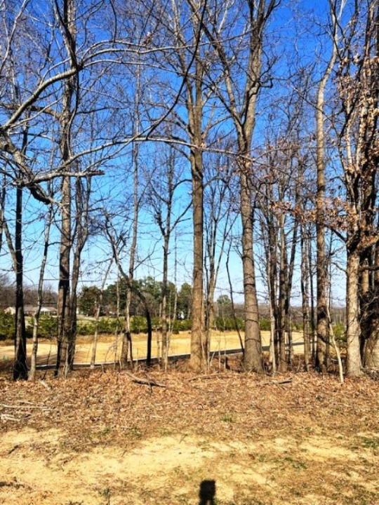 Lot 86 Forest Ridge Dr, Paducah, 肯塔基州 42003, 美國