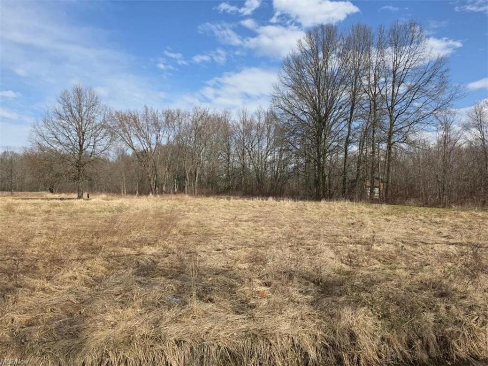 3366 Eagle Creek Rd, Leavittsburg, Ohio 44430