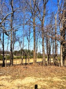 Lot 87 Forest Ridge Dr, Paducah, Kentucky 42003, USA