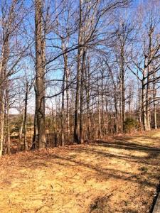 Lot 87 Forest Ridge Dr, Paducah, Kentucky 42003, HOA KỲ