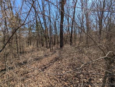 Woodward Circle, Gore, Oklahoma 74435