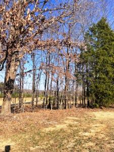 Lot 89 Forest Ridge Dr, Paducah, كنتاكي 42003, الولايات المتحدة