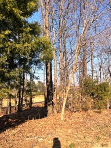 Lot 89 Forest Ridge Dr, Paducah, كنتاكي 42003, الولايات المتحدة
