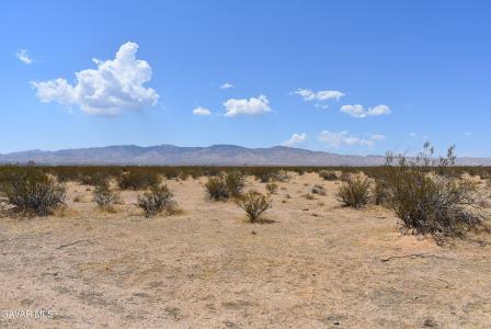 1490 E Wilson Avenue APN 428-083-23-00-0, Mojave, Californie 93501, États-Unis