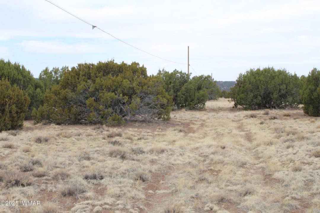 21 & 23 CR 8004, Concho, Arizona 85924, Estados Unidos