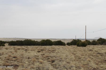 21 & 23 CR 8004, Concho, Arizona 85924, Estados Unidos