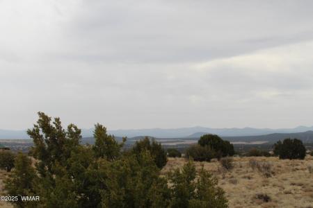 21 & 23 CR 8004, Concho, Arizona 85924, Estados Unidos