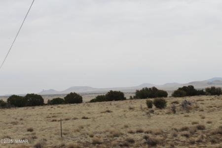 21 & 23 CR 8004, Concho, Arizona 85924, Estados Unidos
