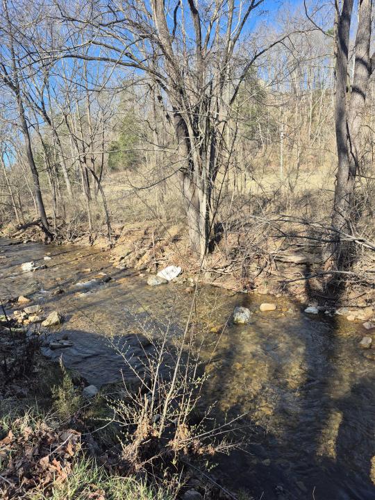 44 Walkers Drive, Buchanan, Virginia 24066, USA