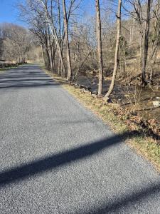 44 Walkers Drive, Buchanan, Virginia 24066, USA