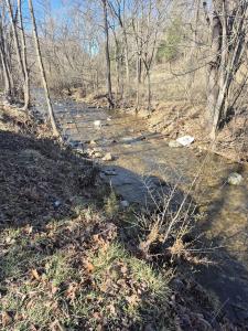 44 Walkers Drive, Buchanan, Virginia 24066, USA