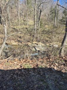 44 Walkers Drive, Buchanan, Virginia 24066, USA