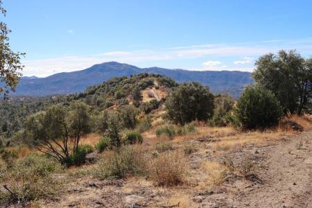 Old Yosemite Road 155.3 AC, Oakhurst, California 93644
