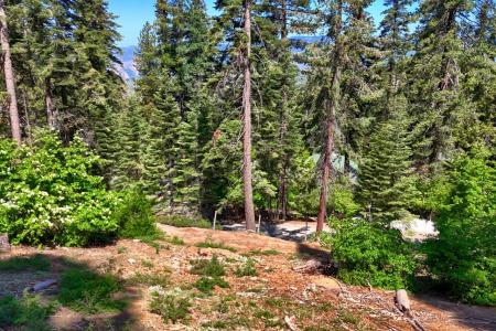7420 Henness Ridge Road, Yosemite West, California 95389, Stati Uniti