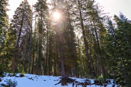 7420 Henness Ridge Road, Yosemite West, Califórnia 95389, Estados Unidos