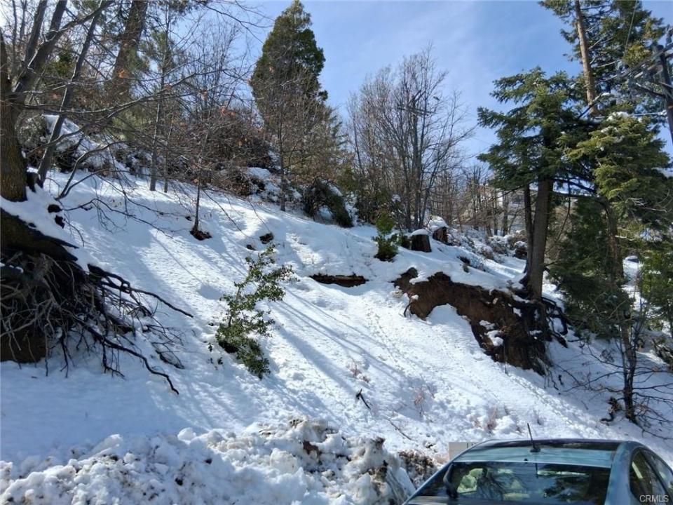 29602 Hook Creek Road, Cedar Glen, קליפורניה 92321, ארצות הברית של אמריקה