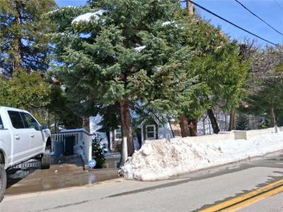 29602 Hook Creek Road, Cedar Glen, קליפורניה 92321, ארצות הברית של אמריקה