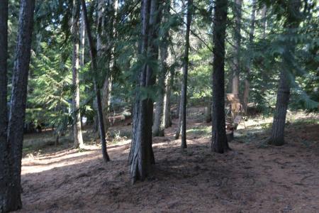481 Davis Lake Rd, Usk, Washington 99180, USA