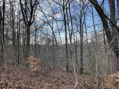 Lot 14 The Village at Laurelwood, Nancy, كنتاكي 42544, الولايات المتحدة