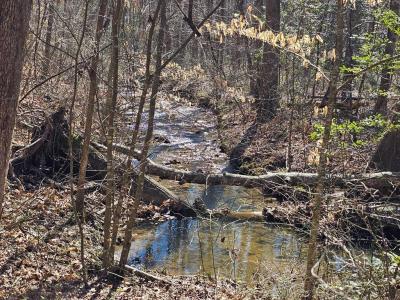 Lot 26 Oak Ridge Way, Ellijay, Géorgie 30536, États-Unis