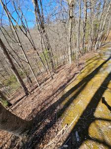 Lot 26 Oak Ridge Way, Ellijay, Georgia 30536, Estados Unidos