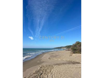 Kavajë, Kavajë, Albania