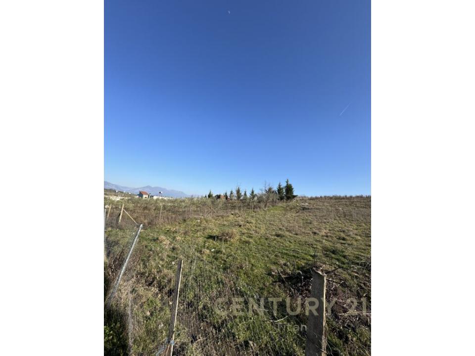 Vorë, Vorë, Albania