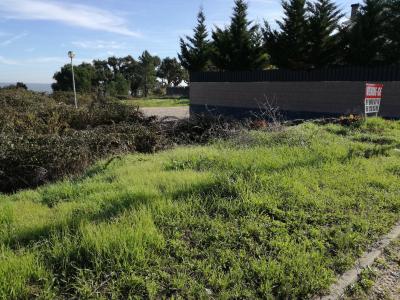 Abrantes, 圣塔伦 2205-596, 葡萄牙