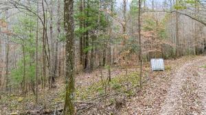 Lot 21 Lacey Ln, Campton, Kentucky 41301, USA