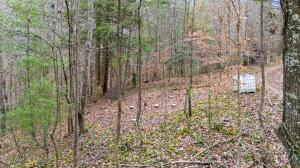Lot 21 Lacey Ln, Campton, Kentucky 41301, USA