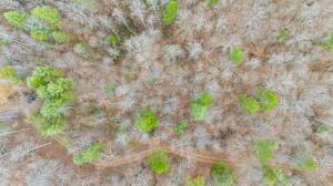 Lot 21 Lacey Ln, Campton, Kentucky 41301, USA