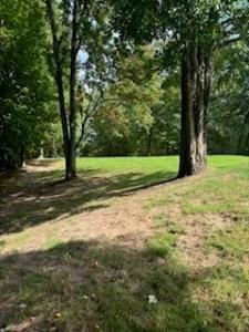 9656 S Calgary Dr., Canadian Lakes, Michigan 49346, Amerika Birleşik Devletleri