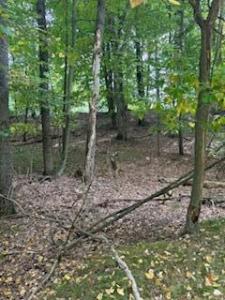 9656 S Calgary Dr., Canadian Lakes, Michigan 49346, Amerika Birleşik Devletleri