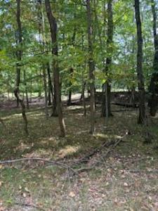 9656 S Calgary Dr., Canadian Lakes, Michigan 49346, Amerika Birleşik Devletleri