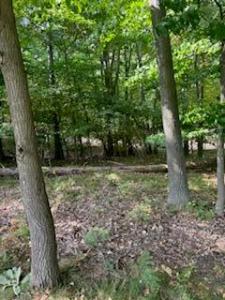 9656 S Calgary Dr., Canadian Lakes, Michigan 49346, USA