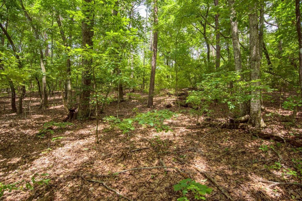 285 Bear Creek Drive, Big Canoe, Georgia 30143, USA