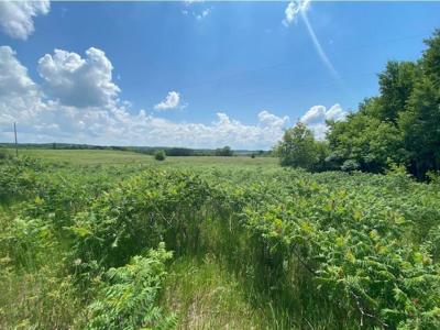 Tract B 113th St, Ashby, Minnesota 56309, Estados Unidos