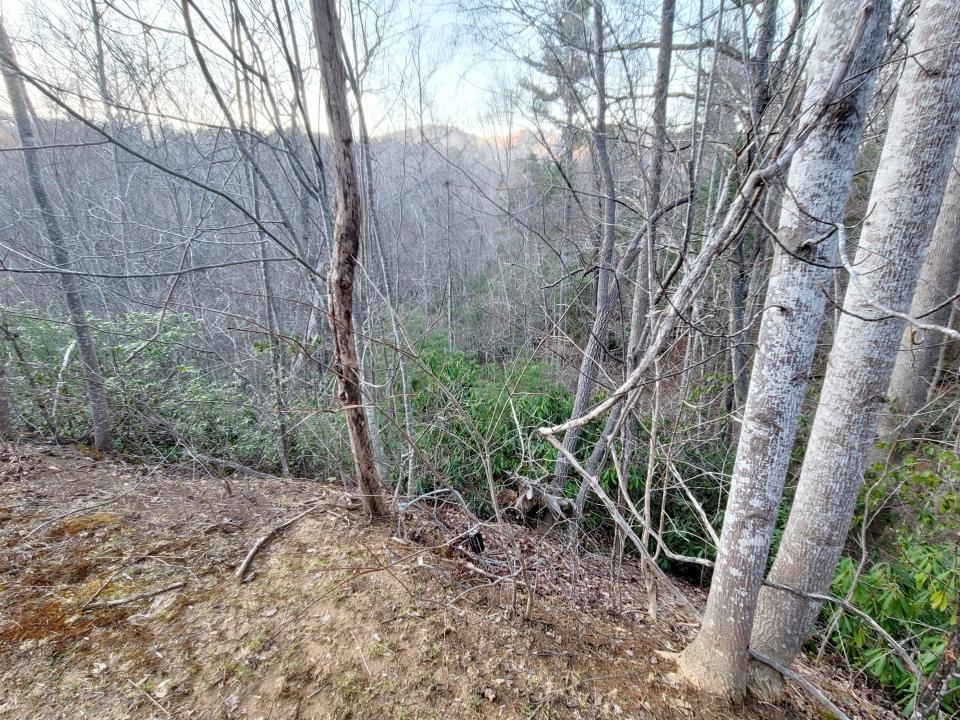 000 Clear Creek Trail #47, Lake Lure, ノースカロライナ 28746, アメリカ合衆国