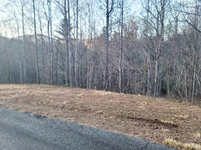 000 Clear Creek Trail #47, Lake Lure, ノースカロライナ 28746, アメリカ合衆国