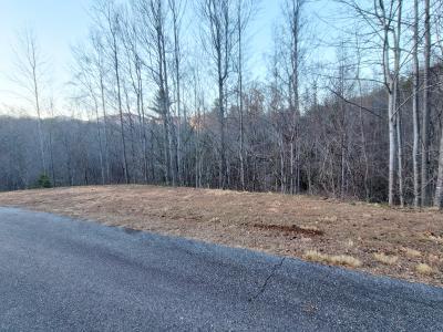 000 Clear Creek Trail #47, Lake Lure, ノースカロライナ 28746, アメリカ合衆国