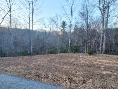 000 Clear Creek Trail #47, Lake Lure, ノースカロライナ 28746, アメリカ合衆国