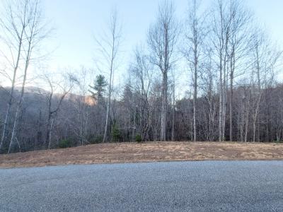 000 Clear Creek Trail #47, Lake Lure, ノースカロライナ 28746, アメリカ合衆国