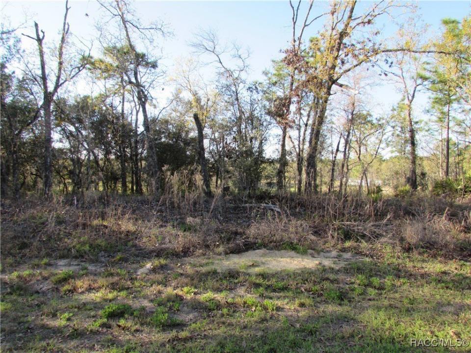 Dunnellon, Floryda 34434, USA