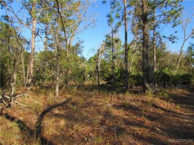 Dunnellon, Floryda 34434, USA