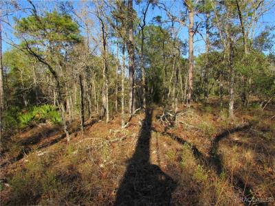 Dunnellon, Floryda 34434, USA