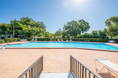 3346 Gorse Court, Palm Harbor, Florida 34684, USA