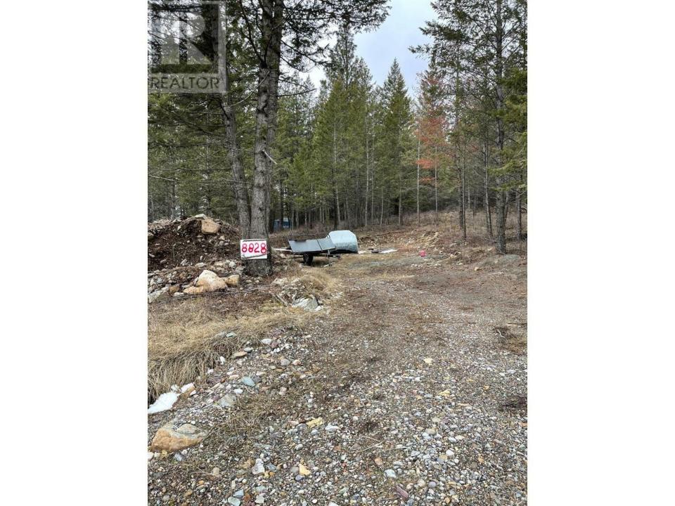8828 NORTH HIRTZ STREET, Elko, British Columbia V0B 1T3, Canada