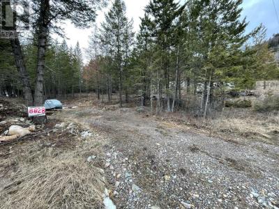 8828 NORTH HIRTZ STREET, Elko, British Columbia V0B 1T3, Canada
