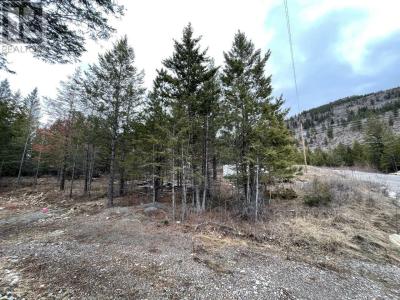 8828 NORTH HIRTZ STREET, Elko, British Columbia V0B 1T3, Canada